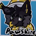 𑣲Pawshire⦮ ⦯