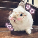 The Burrow Discord server icon