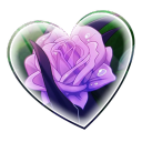 ✚　 ͜Soulaverse Search   .ᐟ Discord server icon