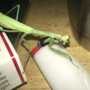 OPM Discord server icon