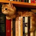; kewlcats