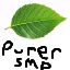 PurerSMP | Pure Vanilla
