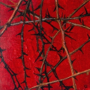 ⫘⫘ Daily Special. Discord server icon