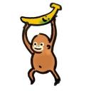 banana's area