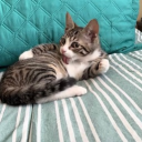 BESTFREINDS FOREVER!! Discord server icon