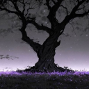 Night Aspect「 NA 」 Discord server icon