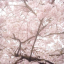 最 | 𝐹𝑎𝑛𝑑𝑜𝑚𝑆𝑡𝑟𝑒𝑒𝑡!! ♡