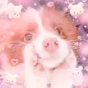 puppy's looking!