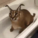 ⊹₊˚‧︵‿₊୨ 𝗙𝗹𝗼𝗽𝗽𝗮 𝗴𝗮𝗻𝗴 ୧₊‿︵‧˚₊⊹