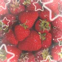 𓏲ּ𝄢°‧⋆cammys🍓garden⋆‧°𓏲ּ𝄢
