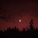 The Everstained Hills [ Vsmp Inspired Rp Server + Chill ]