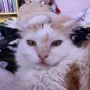 Venom Discord server icon