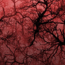 ─ ⊹ ⊱𝔗𝔥𝔢 ℜ𝔢𝔲𝔫𝔦𝔬𝔫⊰ ⊹ ─ Discord server icon