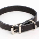 주인님 구함 Discord server icon