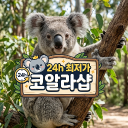 🐨24h 최저가 코알라샵🐨 Discord server icon