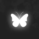 delight - студия дизайна