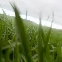 ₊ ⊹  ℘ᥙ𝕣ꫀuꩇׁׅ݊⌣🍀   .   𓈒