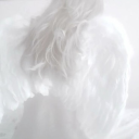 ANGEL Discord server icon