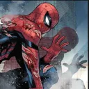 ˎˎ   Spider-Man's Profic Web 🕸≫