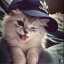 Meowfia | Sailor Piece 🐾