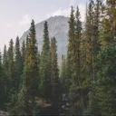 🌲 Backcountry Basecamp discord icon