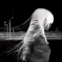 shade. Discord server icon