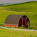 Barnyard Studio