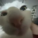 Kado's Free Cheat Server discord icon