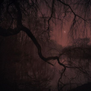 𝕮𝖍𝖎𝖑𝖉𝖗𝖊𝖓 𝖔𝖋 𝖙𝖍𝖊 𝕲𝖗𝖆𝖛𝖊 Discord server icon