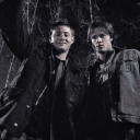 The Hunter’s Codex Discord server icon