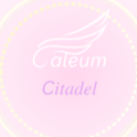 ᭝ ᨳ caelum citadel ଓ ՟ Discord server icon