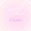 ᭝ ᨳ caelum citadel ଓ ՟