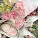 ˖𝐴𝑓𝑡𝑒𝑟 𝐻𝑜𝑢𝑟𝑠˖୨୧.° ᘒﾟ｡ Discord server icon