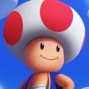 Royaume champignon 🍄