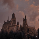 𝚆𝚒𝚣𝚊𝚛𝚍 𝙻𝚒𝚏𝚎 Discord server icon