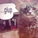 looking for my one and only :3 Discord server icon