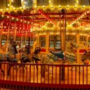🎪🌟 ⌇ The Mystical Menagerie