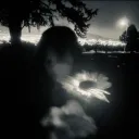 𝒎𝒐𝒐𝒏𝒍𝒊𝒕 𝒈𝒂𝒓𝒅𝒆𝒏 ⋆.ೃ