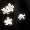 /moonlitgarden