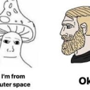 Chill Kittens Discord server icon