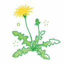Dandelion Den