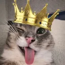 meow’s kingdom
