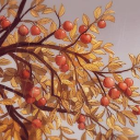 OrangeForest🍊🍂 Discord server icon