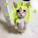 ななこ