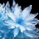 ❄Frosty❄