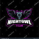 the night owls Discord server icon