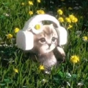 Antisocial Hooligans Discord server icon