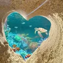 ᯓ STAFF APPSㆍノSALTWATER SANCTUARY⊱☼