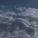 SamuTributes Discord server icon