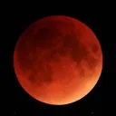 The Bloodmoon Cult